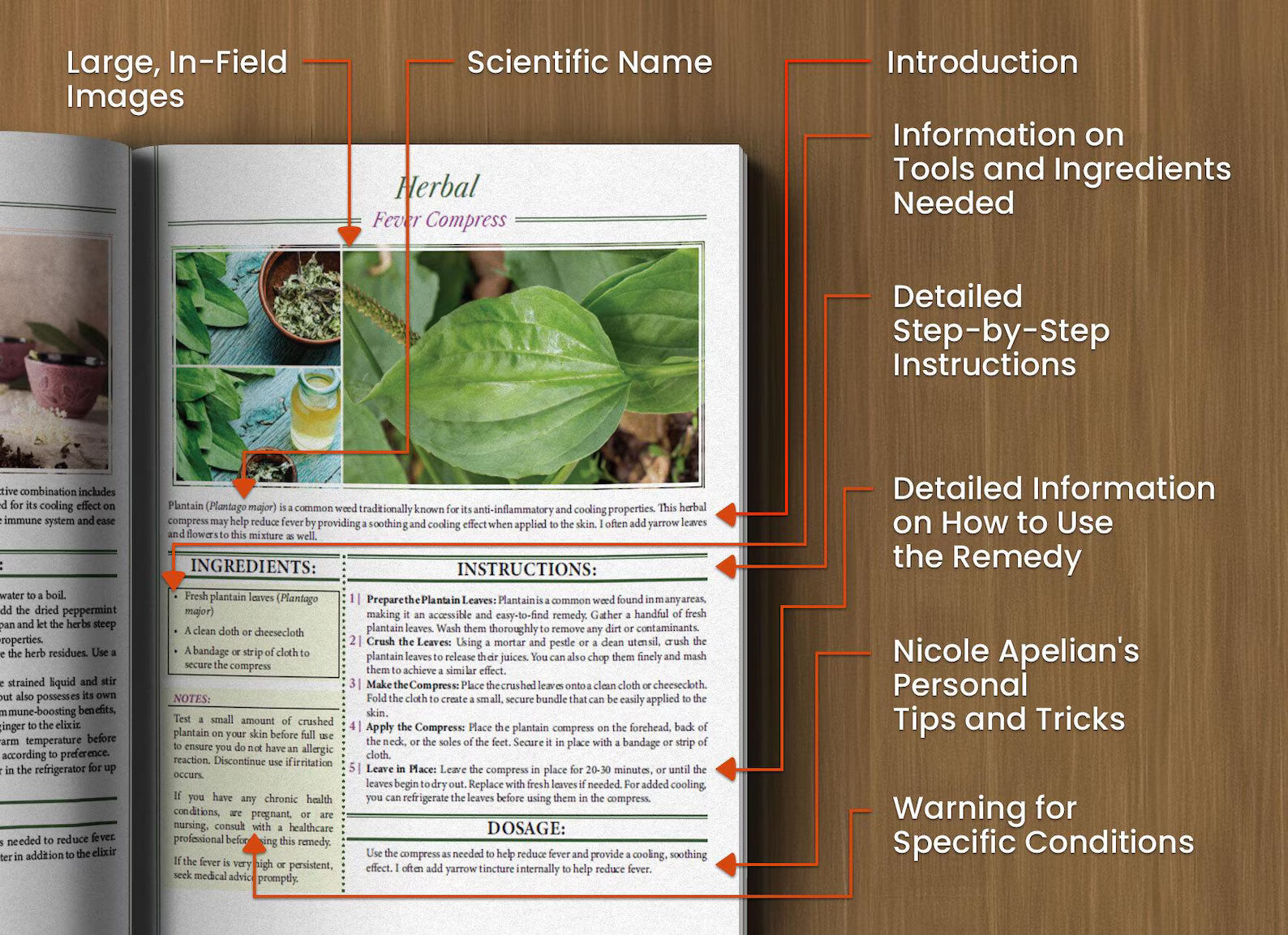 Natural Health & Outdoor Survival Bundle: 3 Practical Guides (Herbal Knowledge + Wellness Reference + Emergency Skills)