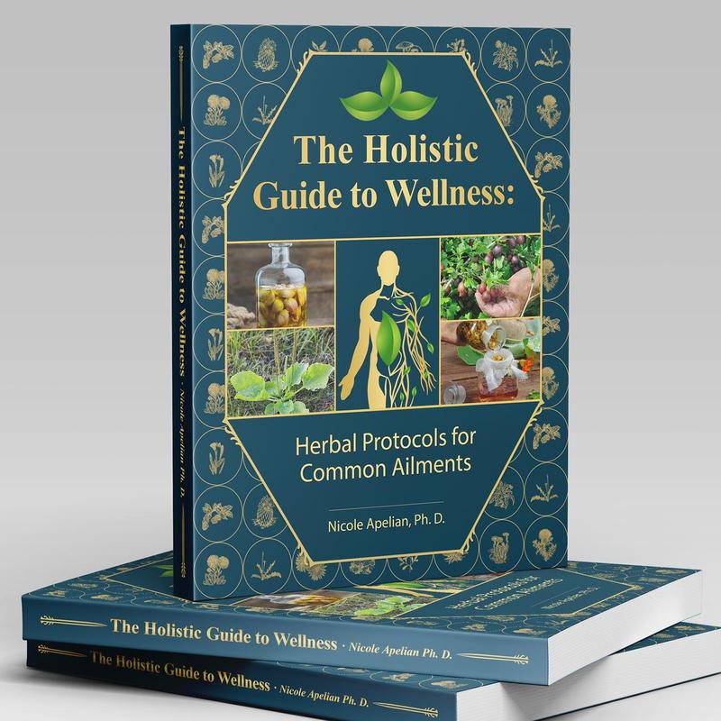 The Holistic Guide to Wellness: Herbal Protocols for Common Ailments | 45 Different Health  Conditions | Soft Cover