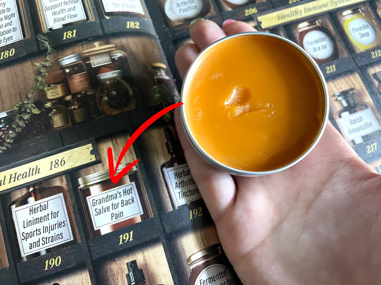 Natural Health & Outdoor Survival Bundle: 3 Practical Guides (Herbal Knowledge + Wellness Reference + Emergency Skills)